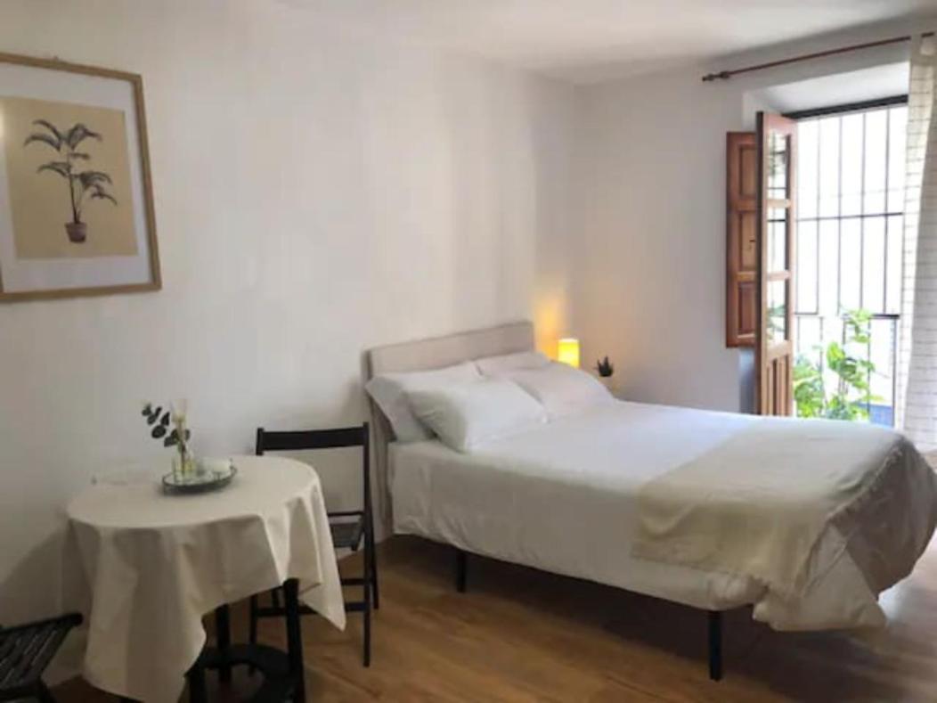 Apartamento Completo Reformado En Arco De Elvira - Centro 格拉纳达 外观 照片