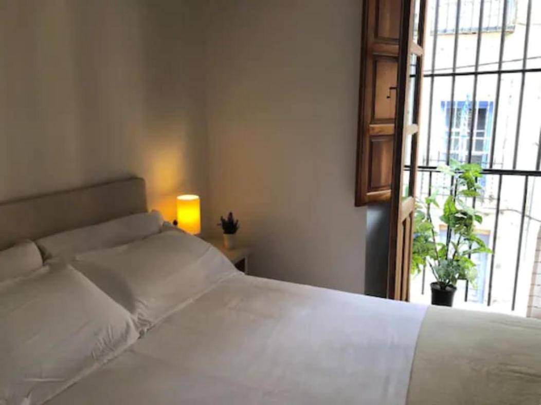 Apartamento Completo Reformado En Arco De Elvira - Centro 格拉纳达 外观 照片
